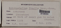 Image Associated With the Occurence